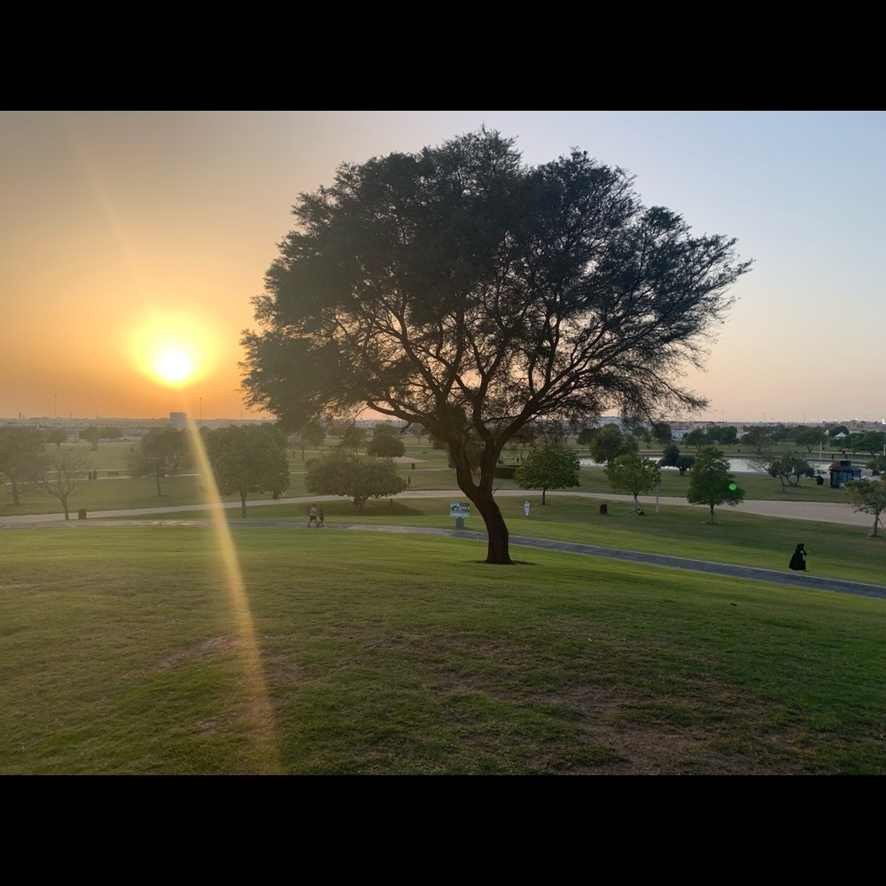 Meet your Posher, Kat